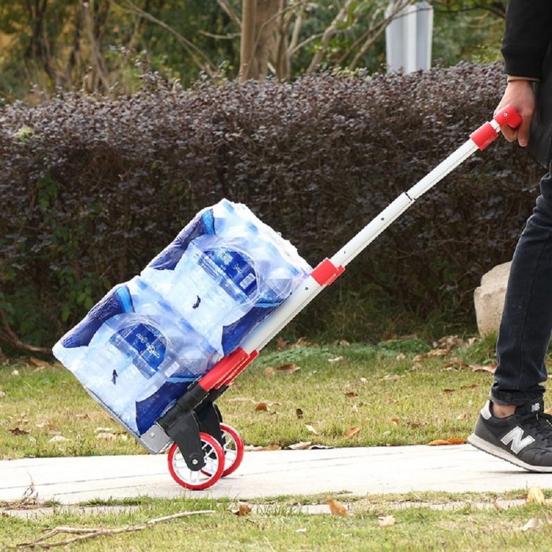 71ZkiYRW2EL._AC_SL1000_